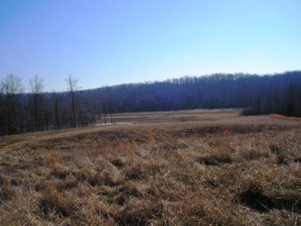 Land in McNairy County, Tennessee
