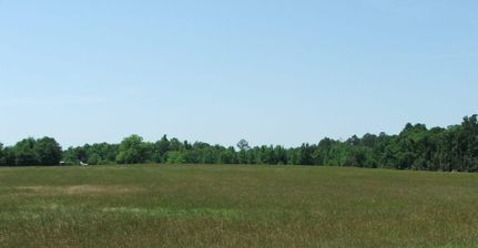 Farm and Ranch in Screven County, Georgia