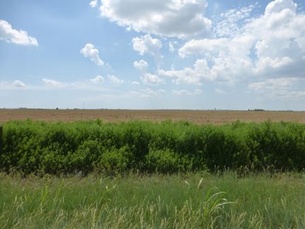 Farm and Ranch in Randall County, Texas