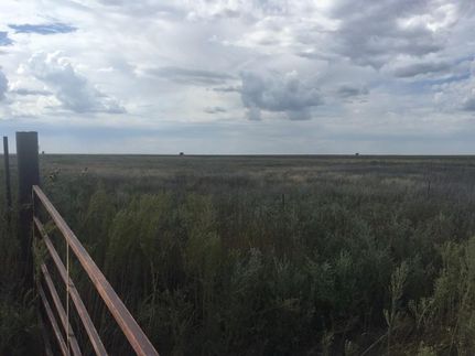 Recreational Property in Hartley County, Texas
