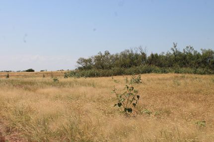 Farm and Ranch in Childress County, Texas