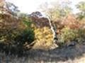 Farm and Ranch in Llano County, Texas