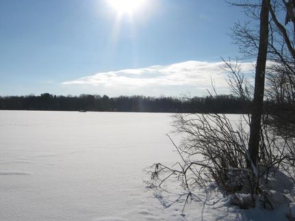 Waterfront Property in Cayuga County, New York