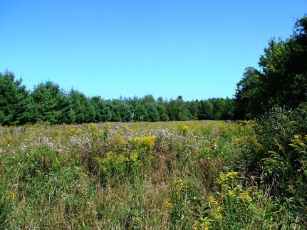 Land in Sanilac County, Michigan