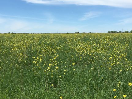 Land in McLennan County, Texas