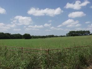 Undeveloped Land in Hill County, Texas