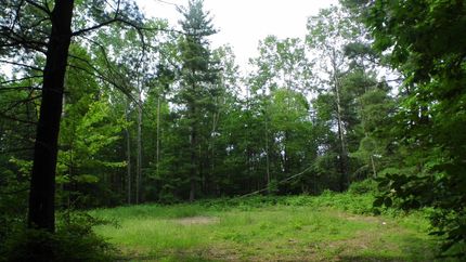Farm and Ranch in Tuscola County, Michigan