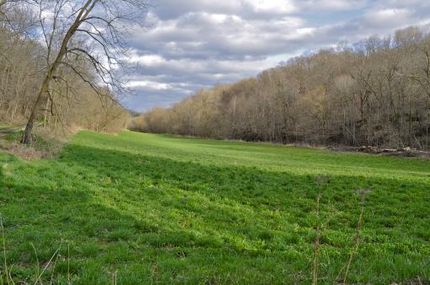 Timberland Property in Crawford County, Wisconsin