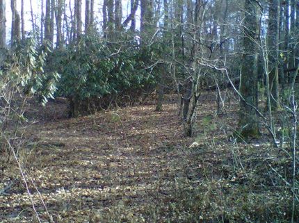 Land in Carroll County, Virginia