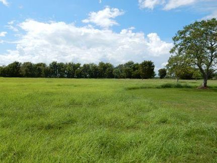 Undeveloped Land in Matagorda County, Texas
