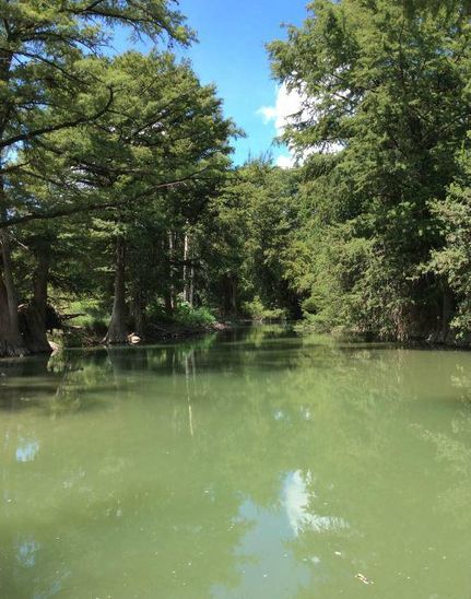 Timberland Property in Kerr County, Texas
