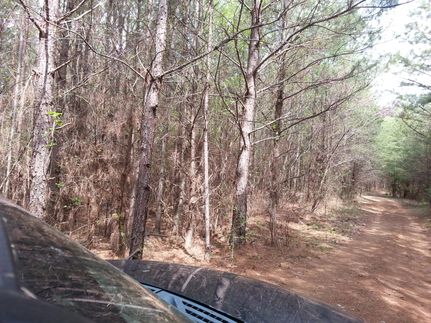 Recreational Property in Walker County, Alabama