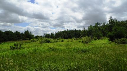 Farm and Ranch in Tuscola County, Michigan
