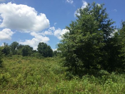 Farm and Ranch in Milam County, Texas
