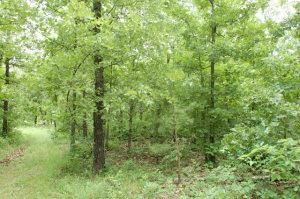 Farm and Ranch in Howell County, Missouri