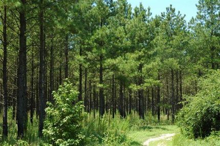 Land in Robeson County, North Carolina