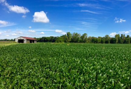 Farm and Ranch in Knox County, Indiana