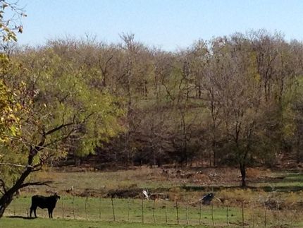 House in Ellis County, Texas