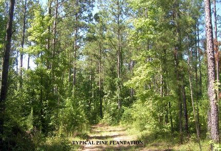 Farm and Ranch in Wilcox County, Alabama