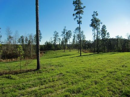 Timberland Property in Lamar County, Mississippi