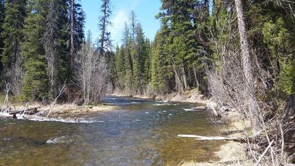 Land in Missoula County, Montana