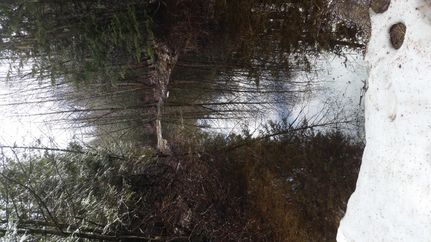 Timberland Property in Bonner County, Idaho