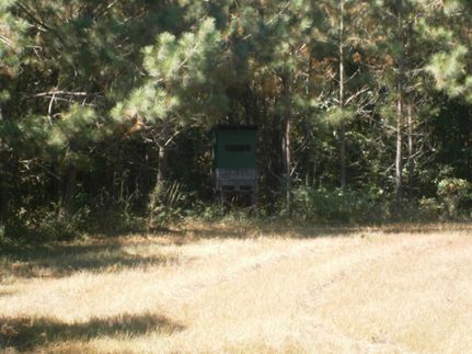Farm and Ranch in Lee County, Mississippi