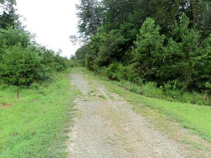 Undeveloped Land in Pittsylvania County, Virginia