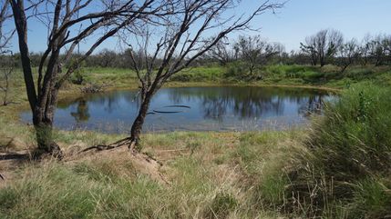 Recreational Property in Runnels County, Texas