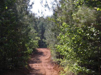 Farm and Ranch in Talladega County, Alabama