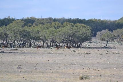 Farm and Ranch in Edwards County, Texas