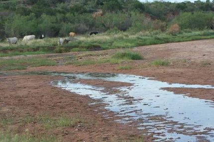 Timberland Property in Motley County, Texas