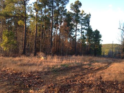 Farm and Ranch in Saline County, Arkansas