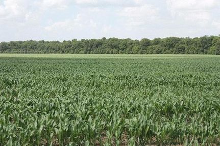 Farm and Ranch in Sunflower County, Mississippi