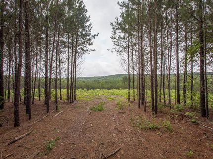 Land in Sequatchie County, Tennessee