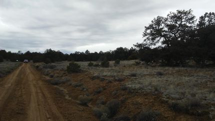 Undeveloped Land in Cibola County, New Mexico
