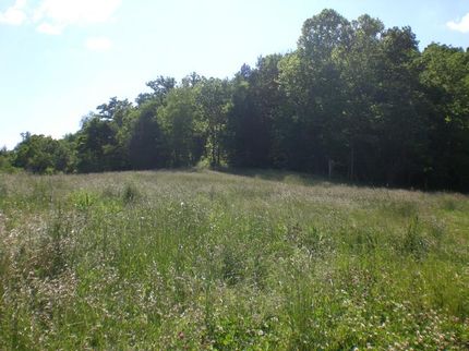 Farm and Ranch in Williamson County, Tennessee