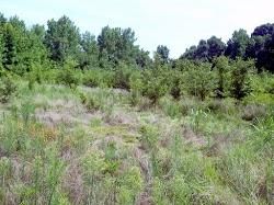 Land in Phillips County, Arkansas