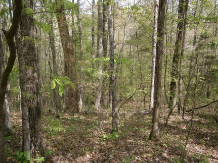 Farm and Ranch in Pontotoc County, Mississippi