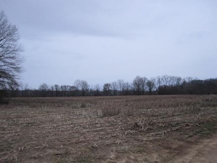 Land in Marshall County, Mississippi