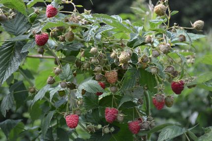 Land in Atlantic County, New Jersey