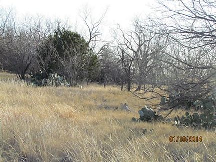 Farm and Ranch in Taylor County, Texas