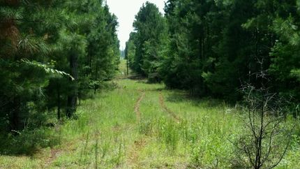 Farm and Ranch in Anderson County, Texas