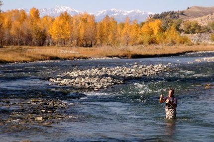Farm and Ranch in Park County, Wyoming