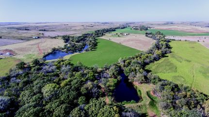 Timberland Property in Washita County, Oklahoma