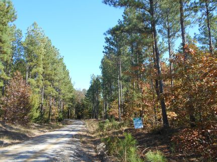 Farm and Ranch in Abbeville County, South Carolina