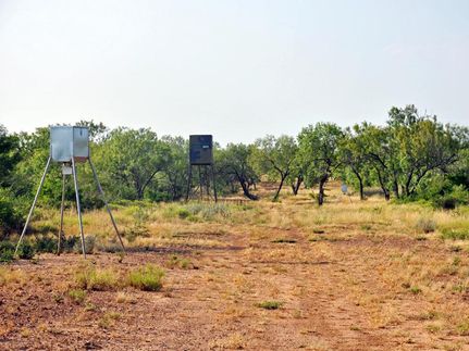 Land in Atascosa County, Texas