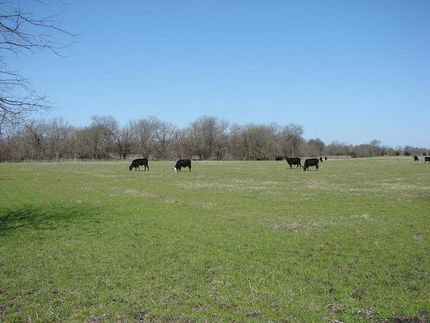 House in Hunt County, Texas