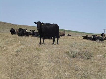 Land in Garfield County, Montana