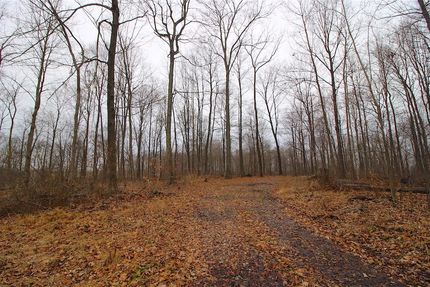 Recreational Property in Holmes County, Ohio